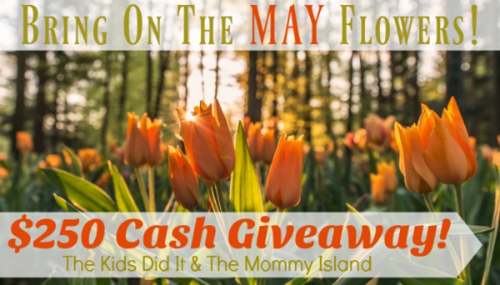 $250 May Cash Giveaway